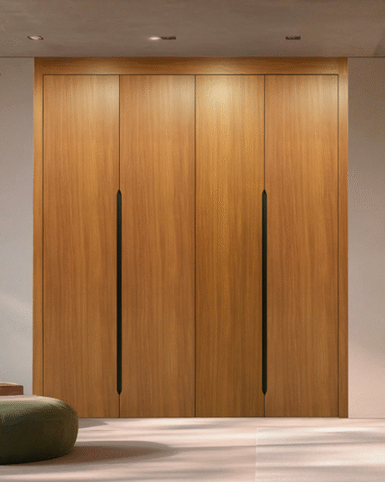 placard-ouvrant-a-la-francaise-xl